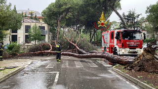 Biella - Grosso ramo caduto sulla strada tra Città Studi e Barazzetto: intervengono i Vigili del Fuoco